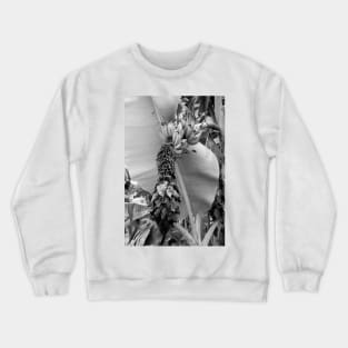 Tropical Plantation Maui Study 8 Crewneck Sweatshirt